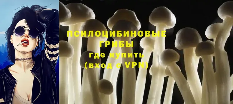 купить закладку  Барнаул  Галлюциногенные грибы Magic Shrooms 